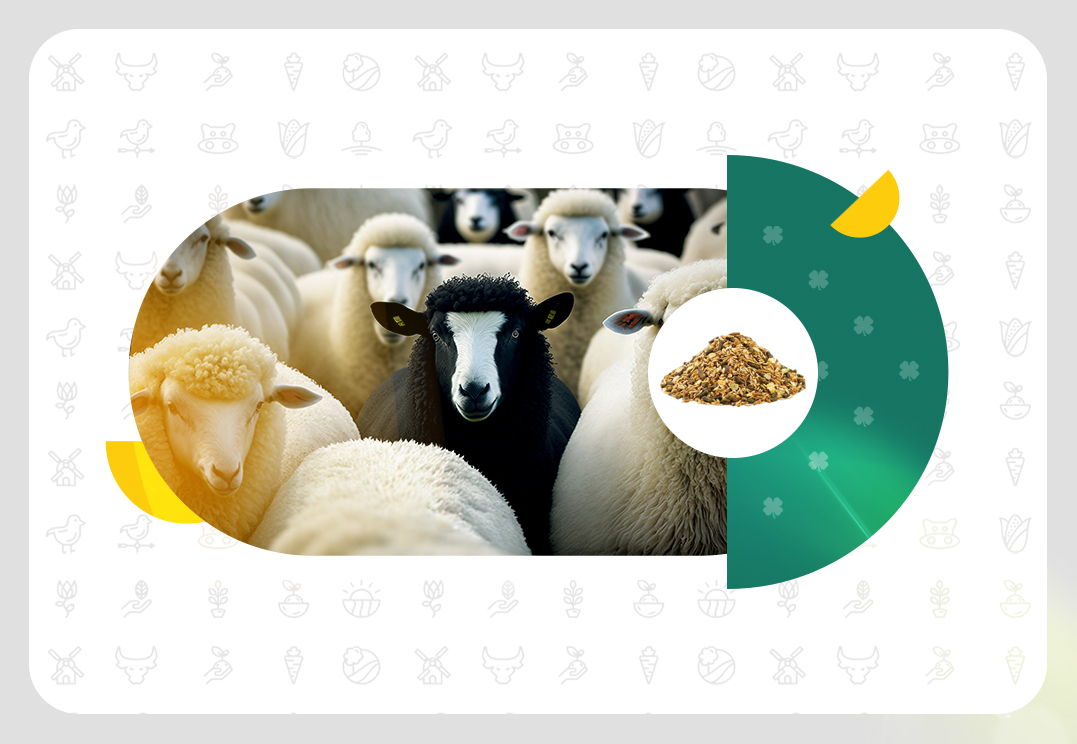 کنسانتره دام سبک